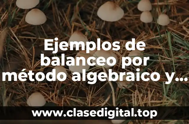 Ejemplos de balanceo por método algebraico y Significado