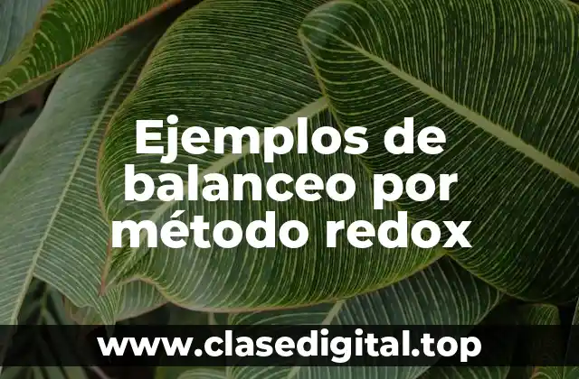 Ejemplos de balanceo por método redox