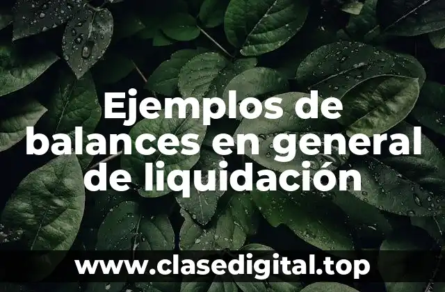 Ejemplos de balances en general de liquidación