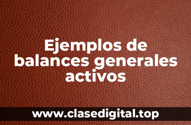 Ejemplos de balances generales activos
