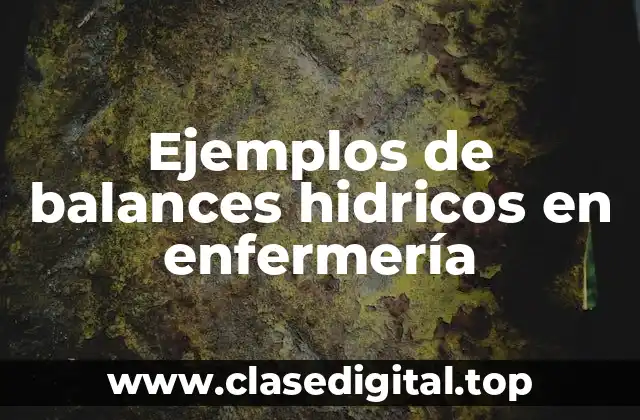 Ejemplos de balances hidricos en enfermería