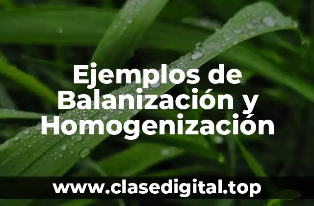 Ejemplos de Balanización y Homogenización