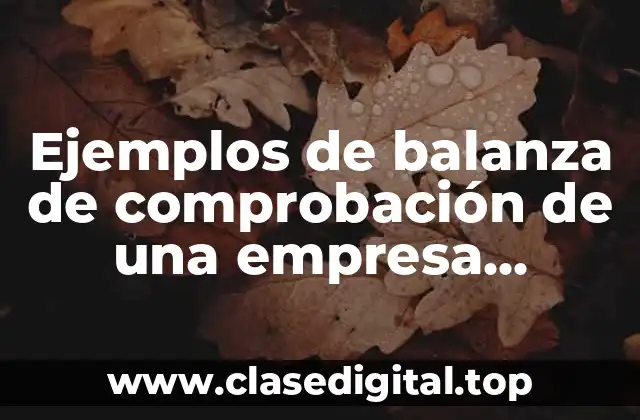 Ejemplos de balanza de comprobación