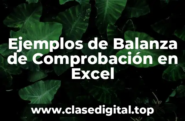 Ejemplos de Balanza de Comprobación en Excel