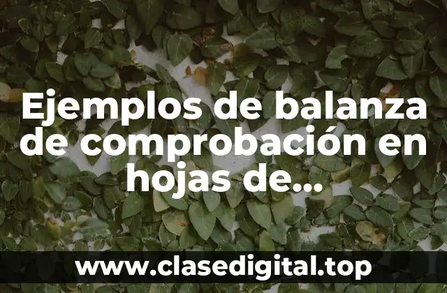 Ejemplos de balanza de comprobación en hojas de contabilidad