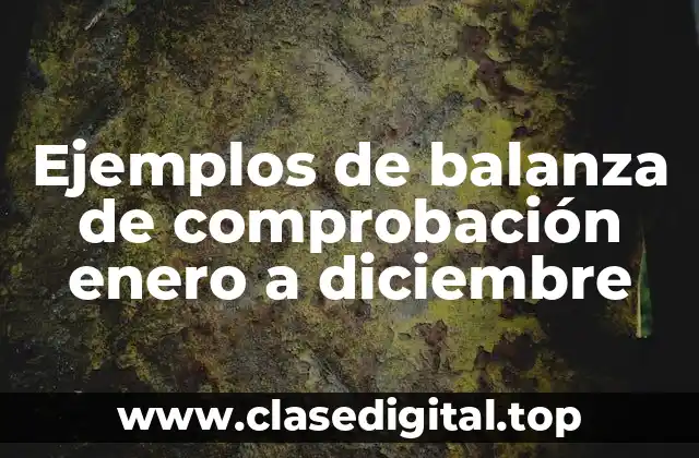 Ejemplos de balanza de comprobación enero a diciembre