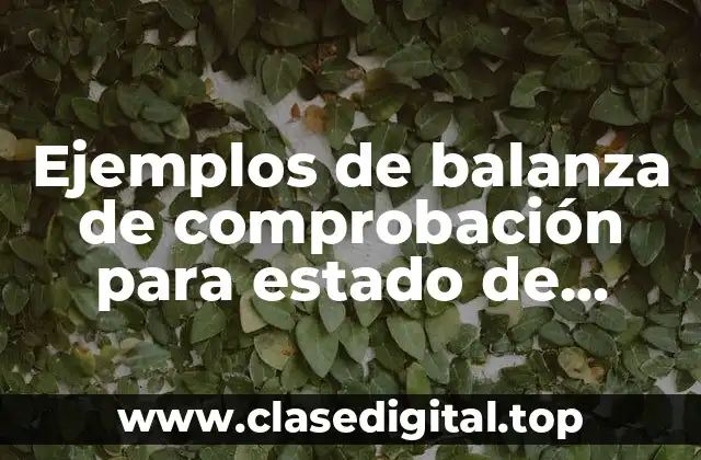 Ejemplos de balanza de comprobación para estado de resultados