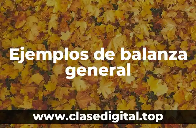 Ejemplos de balanza general