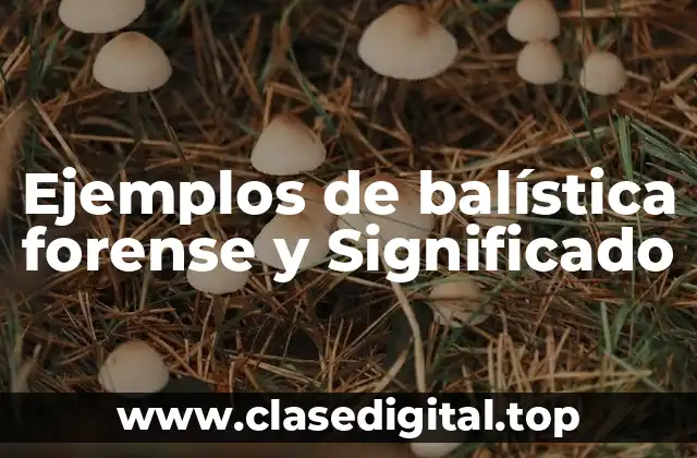 Ejemplos de balística forense y Significado