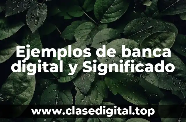 Ejemplos de banca digital y Significado