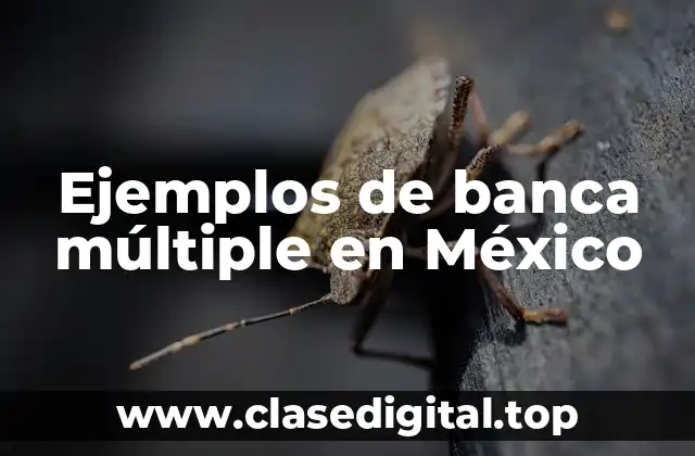Ejemplos de banca múltiple en México
