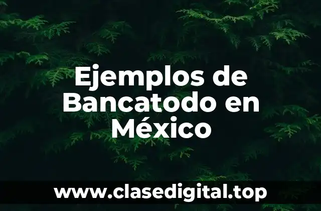 Ejemplos de Bancatodo en México