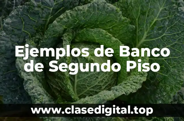 Ejemplos de Banco de Segundo Piso