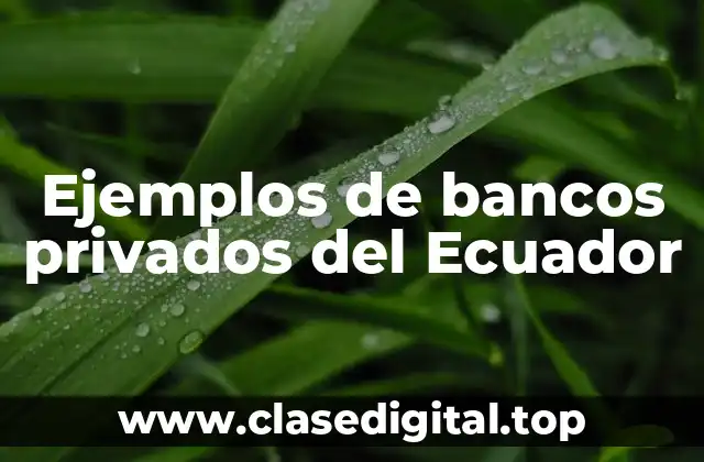 Ejemplos de bancos privados del Ecuador