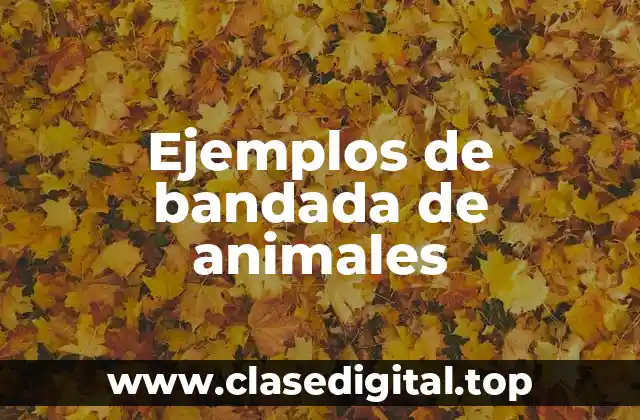 Ejemplos de bandada de animales