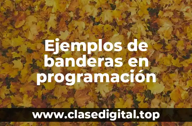 Ejemplos de banderas en programación
