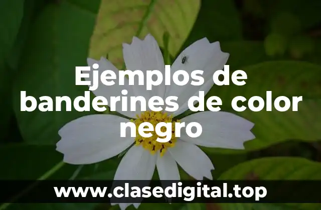 Ejemplos de banderines de color negro