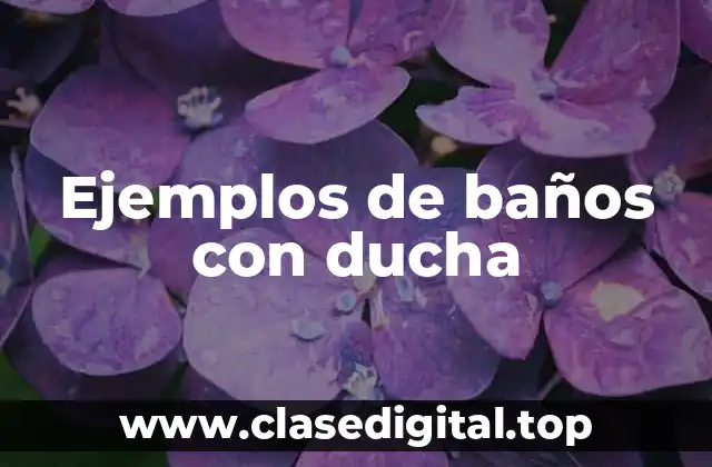 Ejemplos de baños con ducha