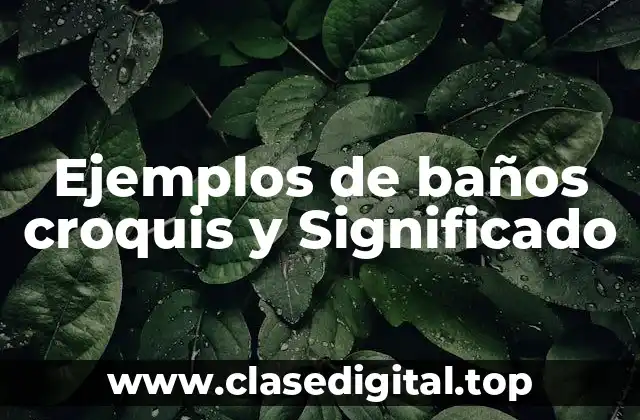 Ejemplos de baños croquis