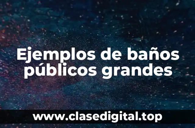 Ejemplos de baños públicos grandes