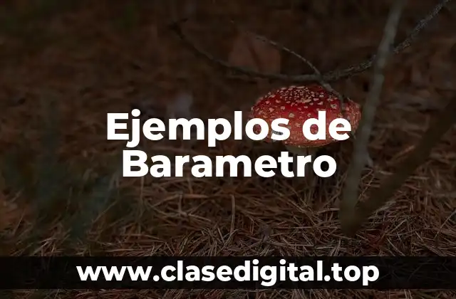 Ejemplos de Barametro