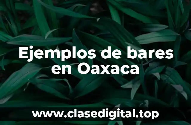 Ejemplos de bares en Oaxaca