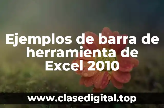 Ejemplos de barra de herramienta de Excel 2010
