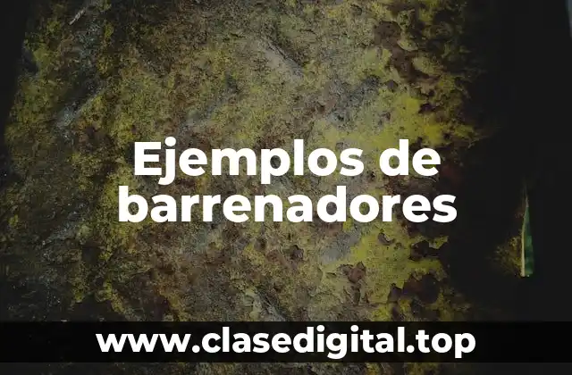 Ejemplos de barrenadores