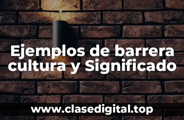 Ejemplos de barrera cultura y Significado