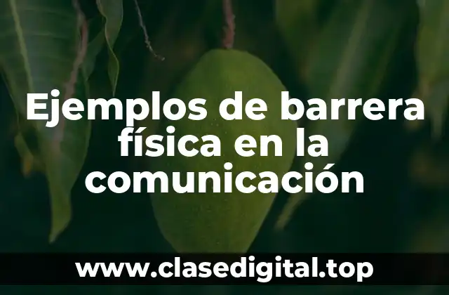 Ejemplos de barrera física en la comunicación