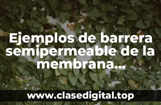 Ejemplos de barrera semipermeable de la membrana plasmática
