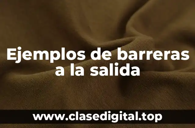 Ejemplos de barreras a la salida