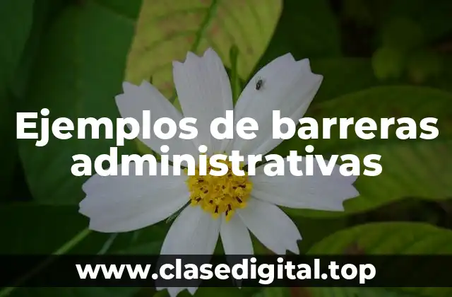 Ejemplos de barreras administrativas