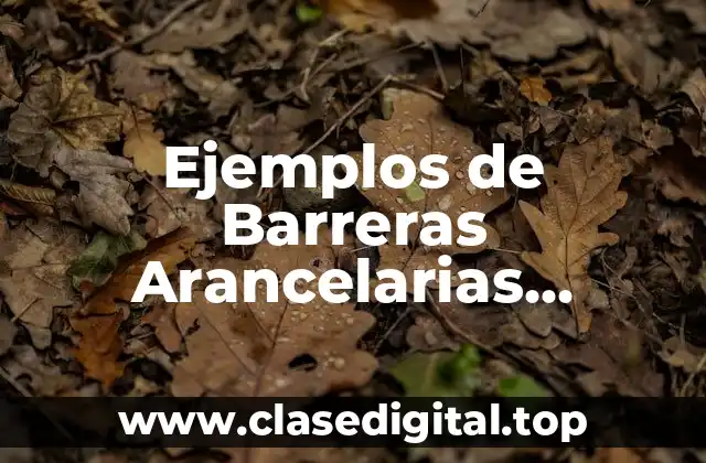 Ejemplos de Barreras Arancelarias Cuantitativas y Significado