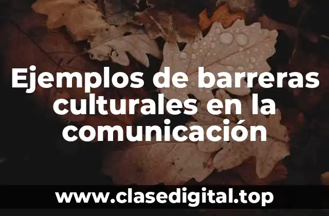Ejemplos de barreras culturales en la comunicación