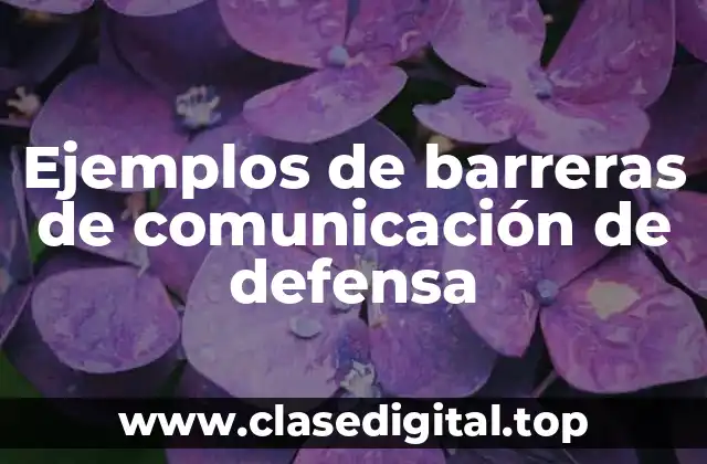 Ejemplos de barreras de comunicación de defensa