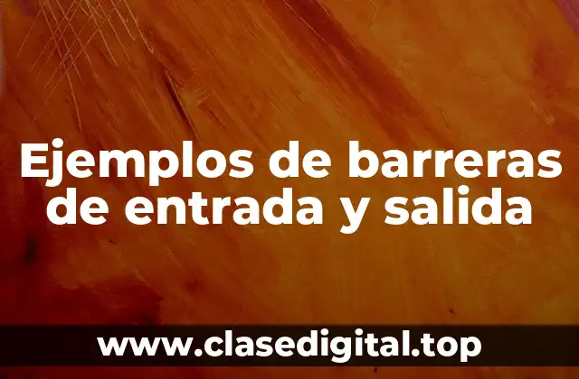 Ejemplos de barreras de entrada y salida