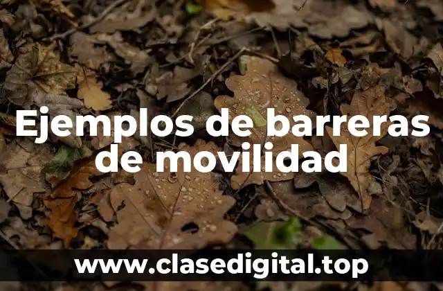 Ejemplos de barreras de movilidad