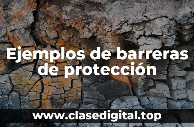 Ejemplos de barreras de protección