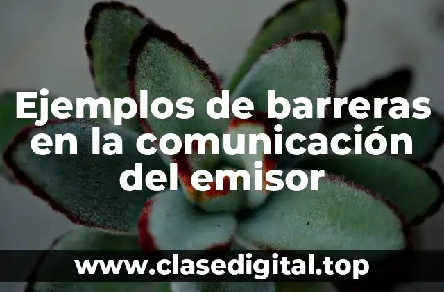 Ejemplos de barreras en la comunicación del emisor