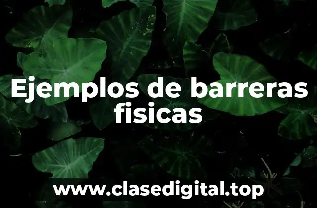 Ejemplos de barreras fisicas