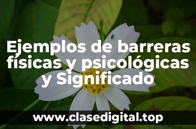 Ejemplos de barreras físicas y psicológicas y Significado