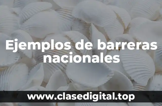 Ejemplos de barreras nacionales