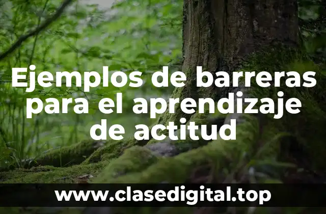 Ejemplos de barreras para el aprendizaje de actitud
