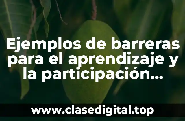 Ejemplos de barreras para el aprendizaje y la participación social