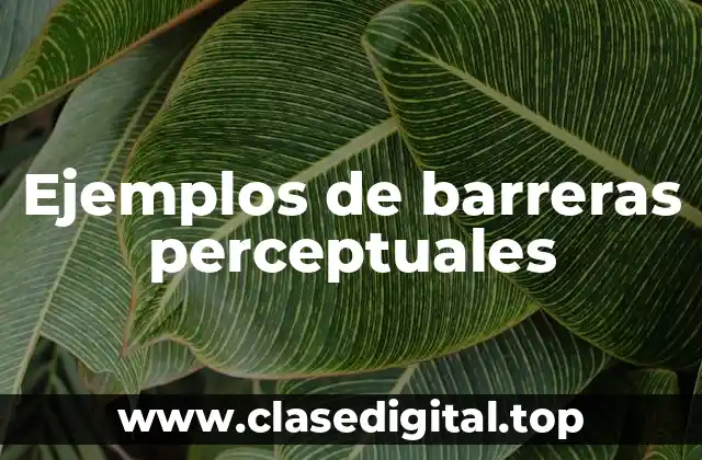 Ejemplos de barreras perceptuales