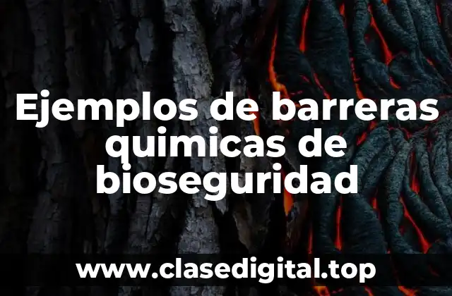 Ejemplos de barreras quimicas de bioseguridad