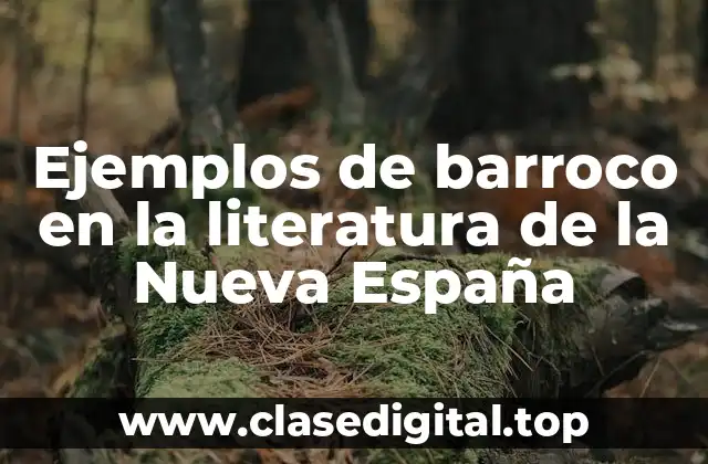 Ejemplos de barroco en la literatura de la Nueva España