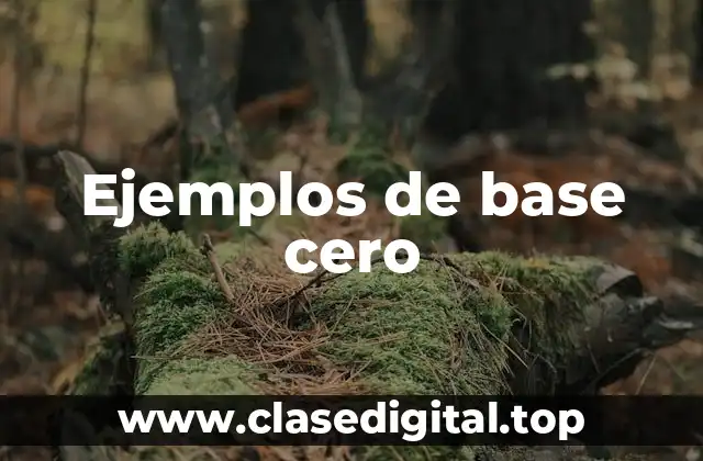 Ejemplos de base cero