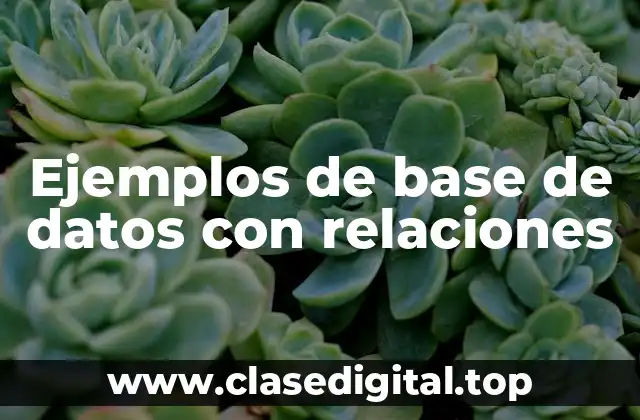 Ejemplos de base de datos con relaciones